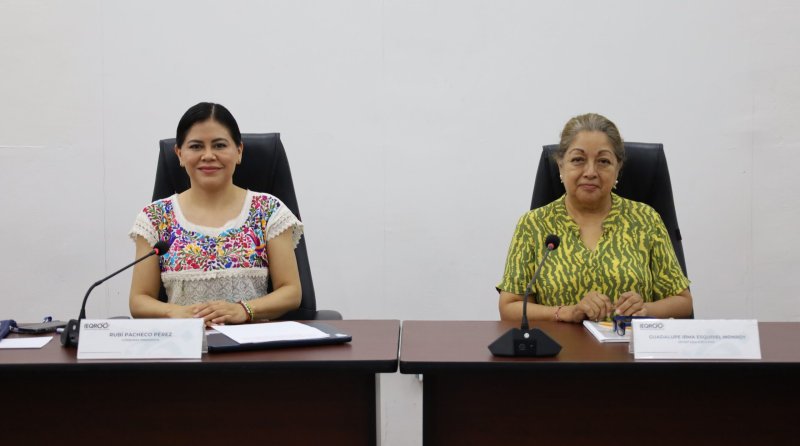 Aprueba modificación al manual de identidad y documentos básicos del partido Movimiento Laborista Quintana Roo.