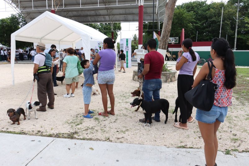 CONTINÚA LA VACUNACIÓN ANTIRRÁBICA EN PUERTO MORELOS