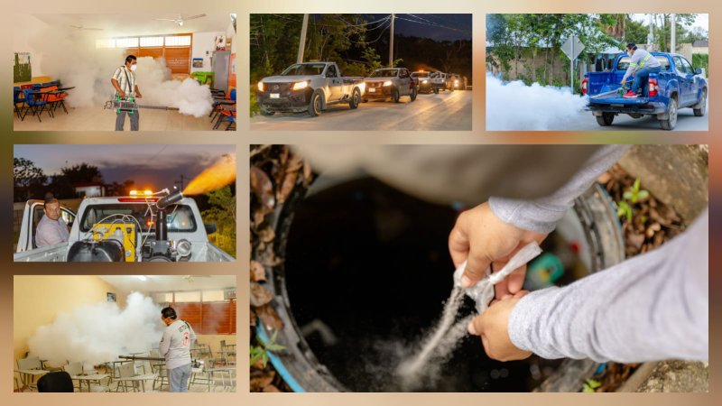 EN TULUM TOMAN ACCIONES PARA PREVENIR ENFERMEDADES COMO DENGUE, CHIKUNGUNYA Y PALUDISMO