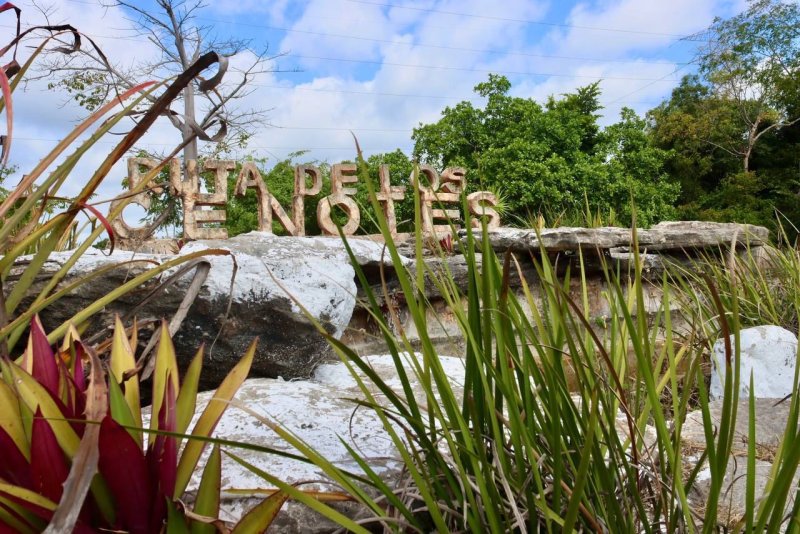 PUERTO MORELOS PROYECTA MÁS DE 90 POR CIENTO EN OCUPACIÓN: BLANCA MERARI