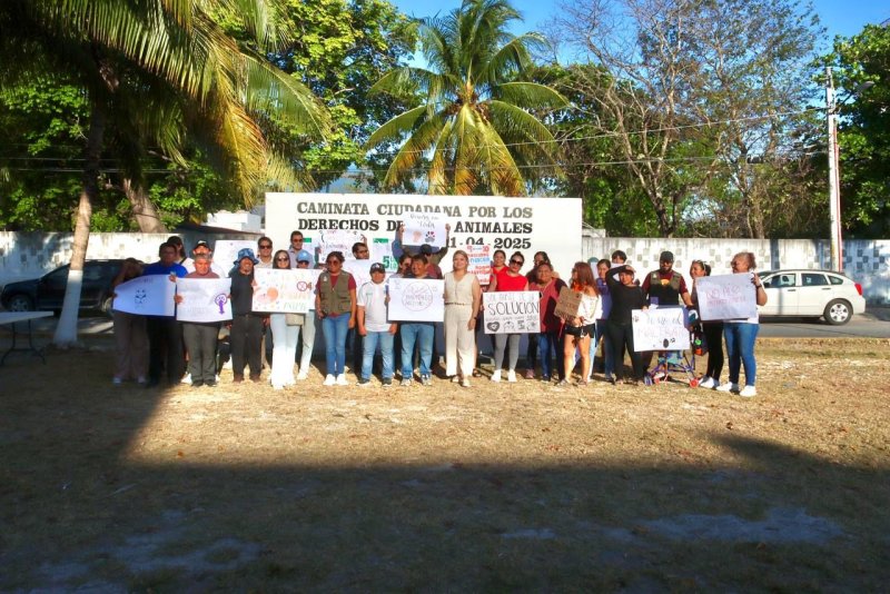 REALIZAN CAMINATA POR LOS DERECHOS DE LOS ANIMALES