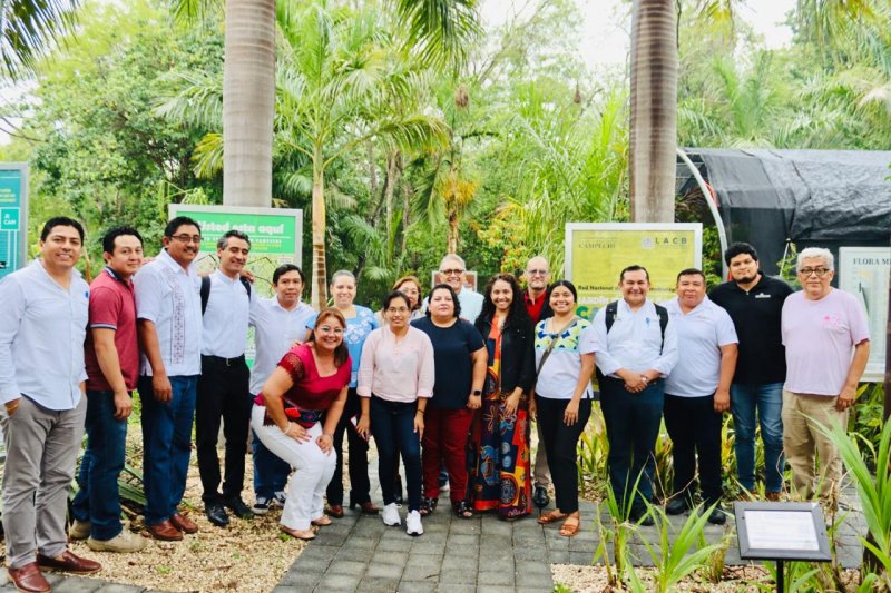 SEDE – Avanza estudio técnico para el reconocimiento de la miel apis en Quintana Roo