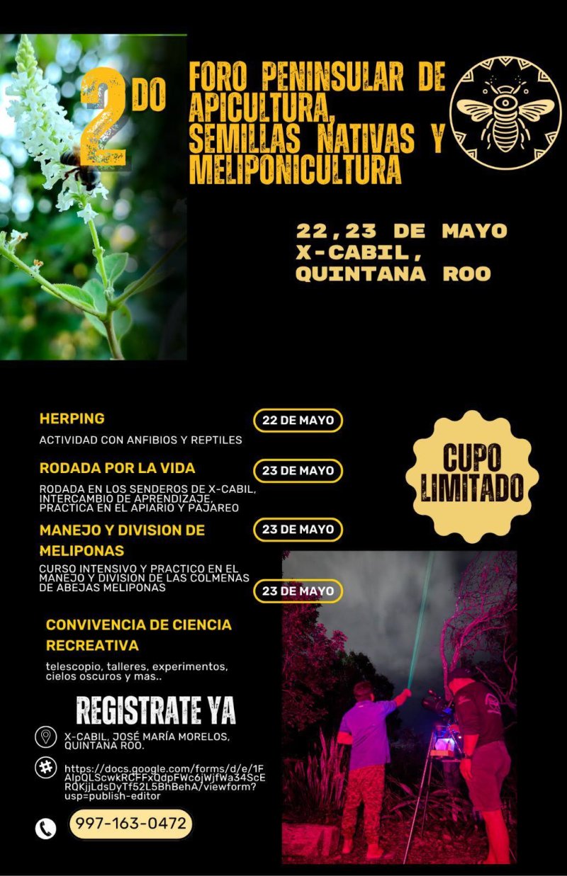 SEDE – Promueven foro peninsular para fortalecer la apicultura y el cuidado de las abejas en Quintana Roo