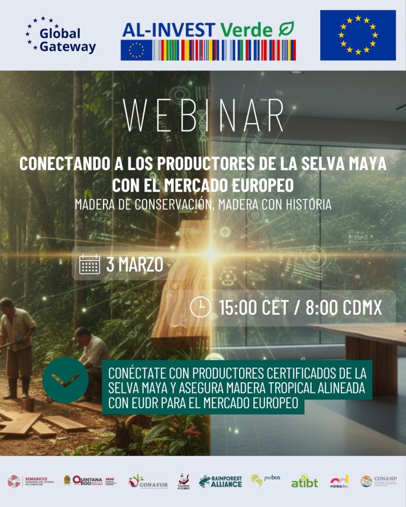 SEDE – Promueven oportunidades para la madera sostenible de la Selva Maya en el mercado europeo