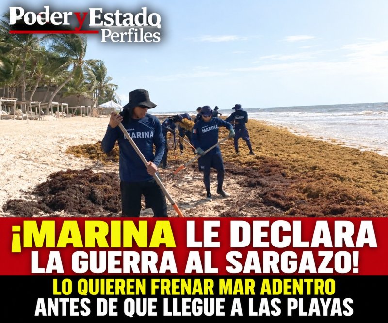 ¡MARINA LE DECLARA LA GUERRA AL SARGAZO! LO QUIEREN FRENAR MAR ADENTRO ANTES DE QUE LLEGUE A LAS PLAYAS