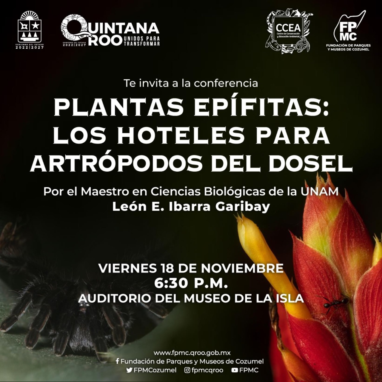 La FPMC invita a la conferencia “Plantas Epífitas: los Hoteles para  Artrópodos del Dosel” - PODER Y ESTADO PERFILES
